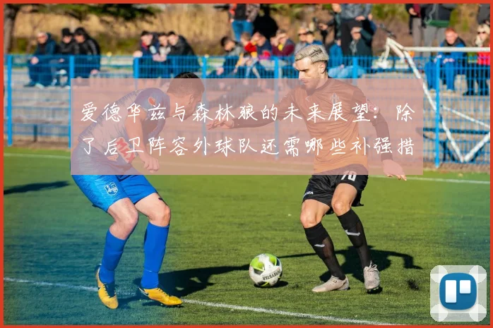 爱德华兹与森林狼的未来展望：除了后卫阵容外球队还需哪些补强措施