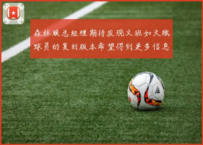 森林狼总经理期待发现文班如天赋球员的复刻版本希望得到更多信息