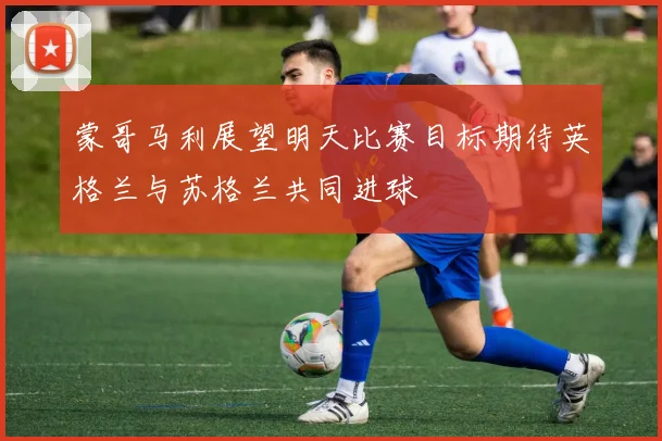 蒙哥马利展望明天比赛目标期待英格兰与苏格兰共同进球